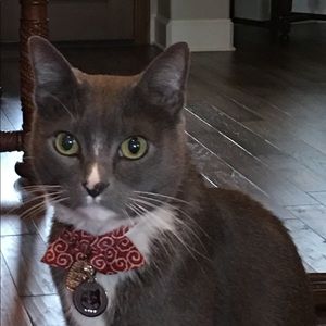 Meet your Posher, Debra